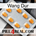 Hard Wang cialis3